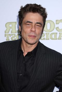 Бенисио Дель Торо фото